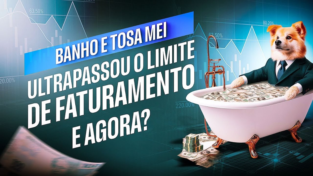 BANHO E TOSA MEI ULTRAPASSOU O LIMITE DE FATURAMENTO E AGORA