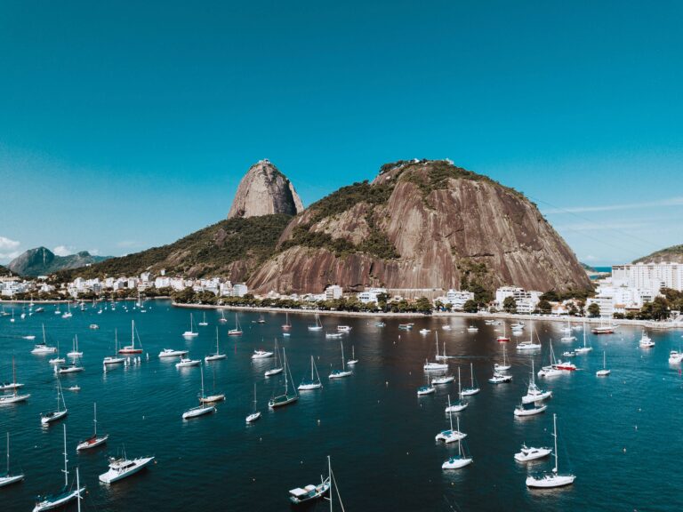 abrir pet shop no rio de janeiro