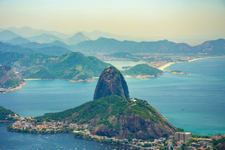 abrir pet shop no rio de janeiro